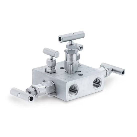 Manifold Valve